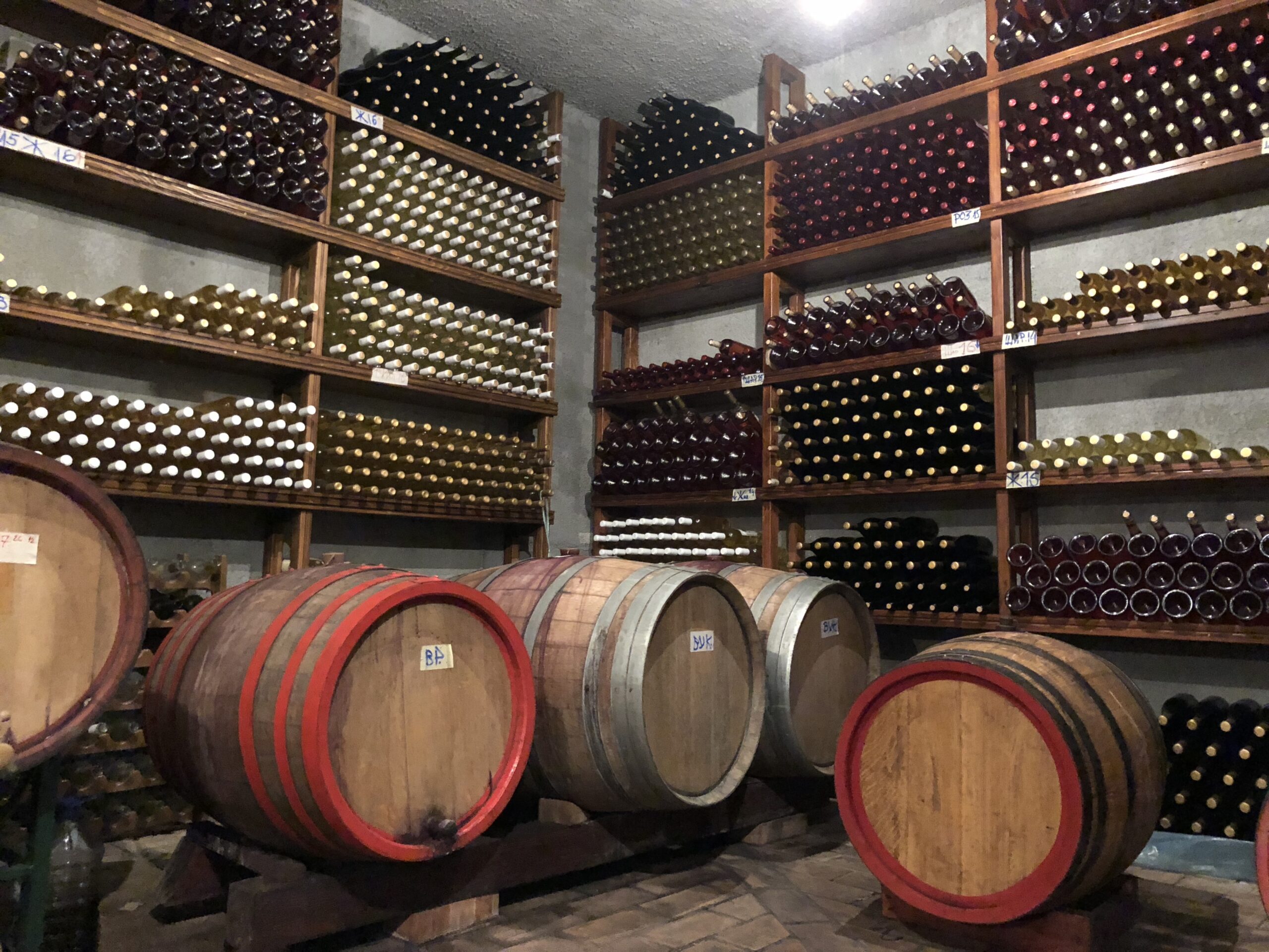 Wine Tour Montenegro: 3 countries in 1 day, in Montenegro, Croatia & Bosnia and Herzegovina